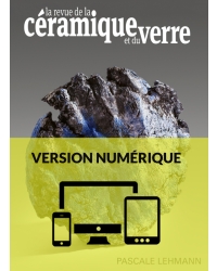 N° 225 numérique