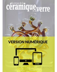 N° 229 numérique