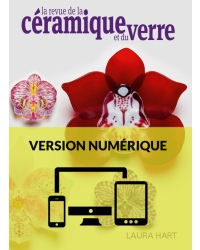 N° 232 numérique