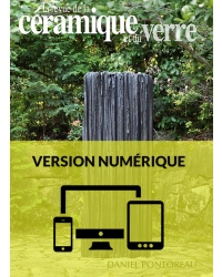 N° 196 numérique