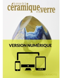 N° 235 numérique